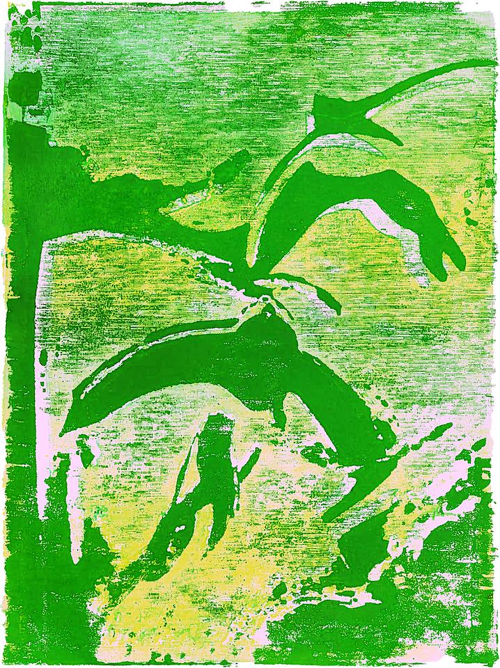 Emerald Isle Swifts work on paper