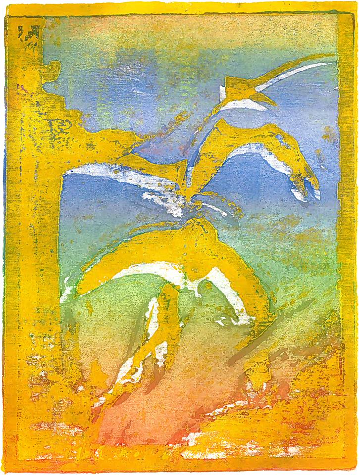 Sunrise Swifts work on paper