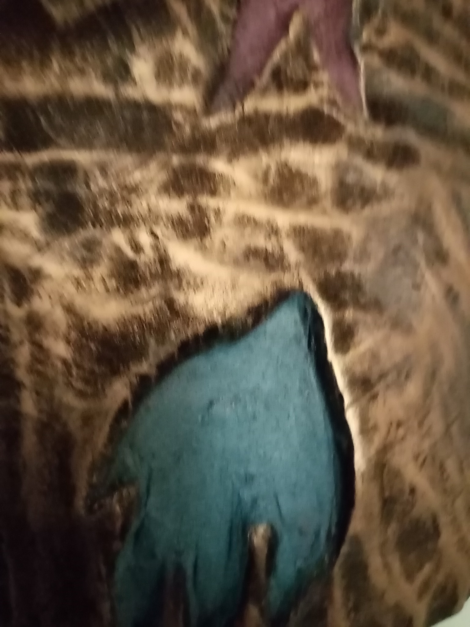 Blue Swift form surrounded by scorched and gilded timber grain